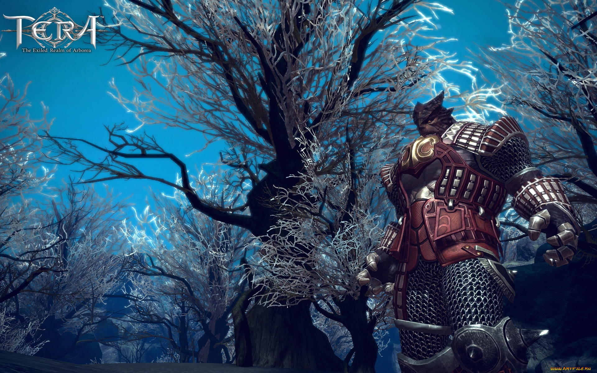 tera, the, exiled, realm, of, arborea, , 